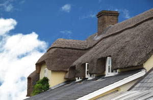 Thatched Roofer Ware Hertfordshire