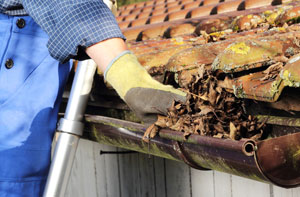 Gutter Cleaning Thetford (01842)